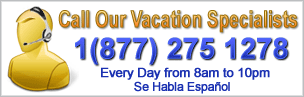 Call Us Now